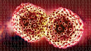 ক্যান্সার নিয়ে কিছু কথা যা সবার জানা থাকা উচিত