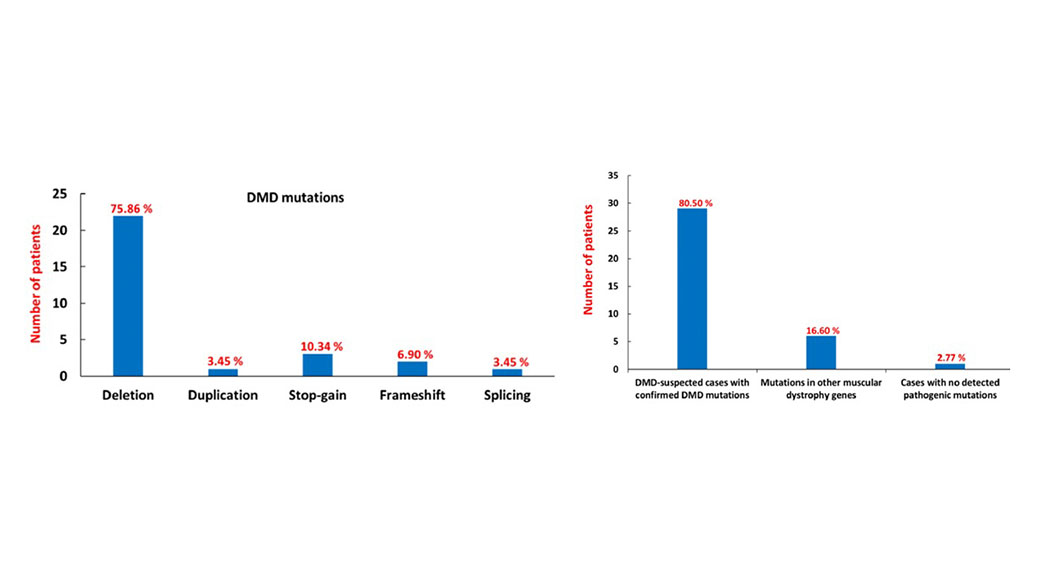 ডিএমডি (DMD) শনাক্তে কয়টি টেস্ট করতে হবে? ডিএমডি ডিলেশন টেস্ট নেগেটিভ হওয়া মানে কি ডিএমডি নেই?